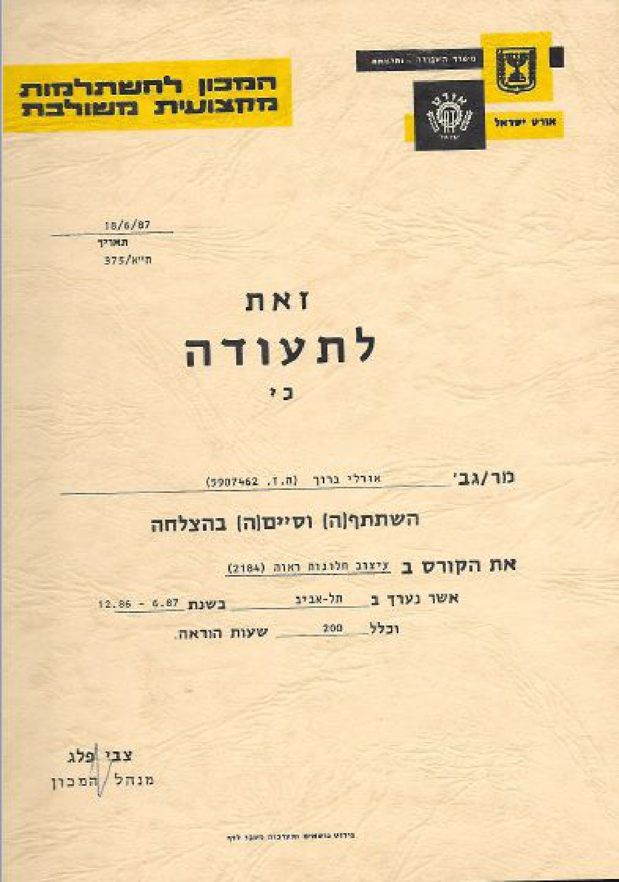 תעודת סיום עיצוב חלונות ראווה