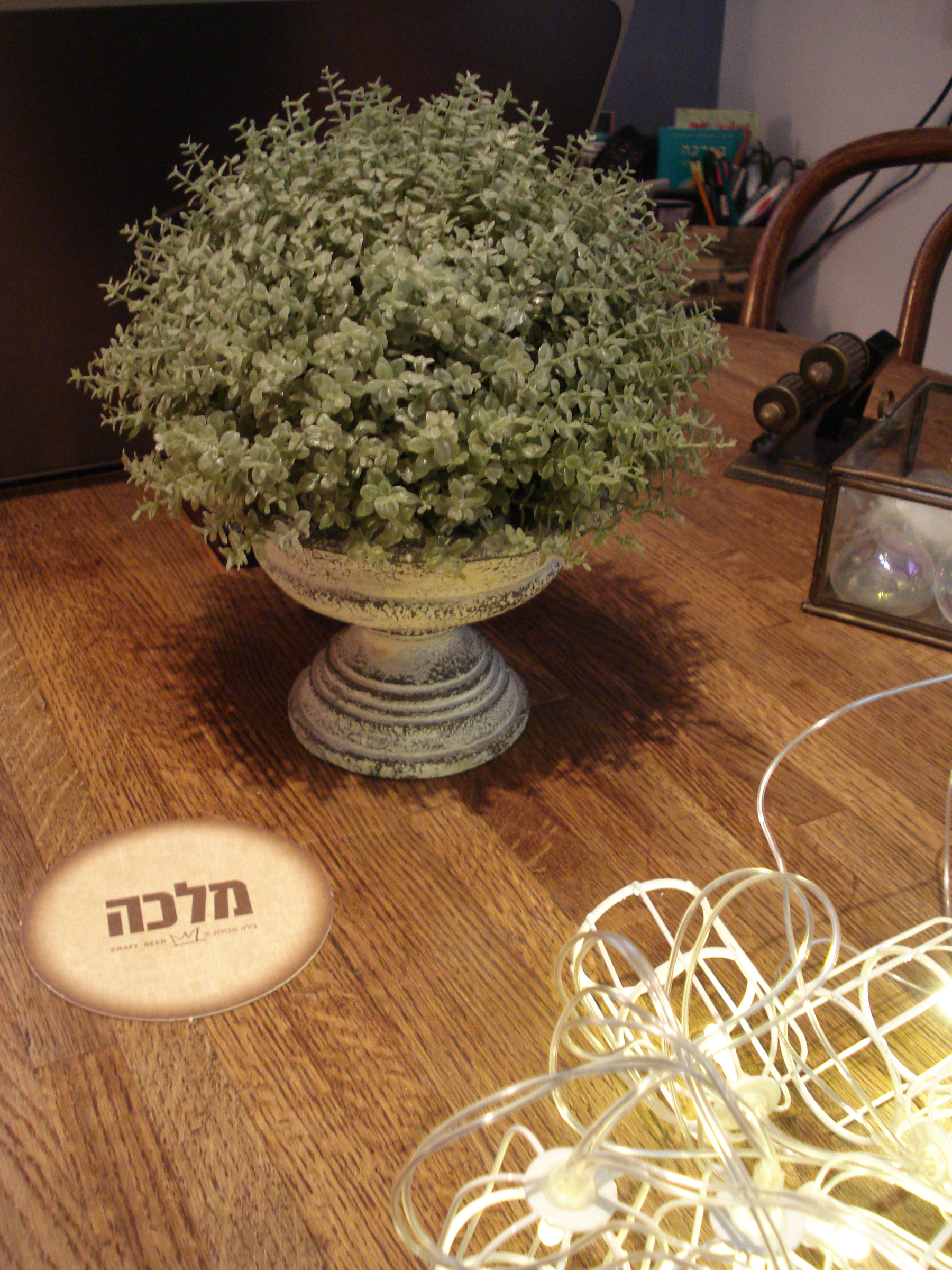 הסטודיו של קנמון