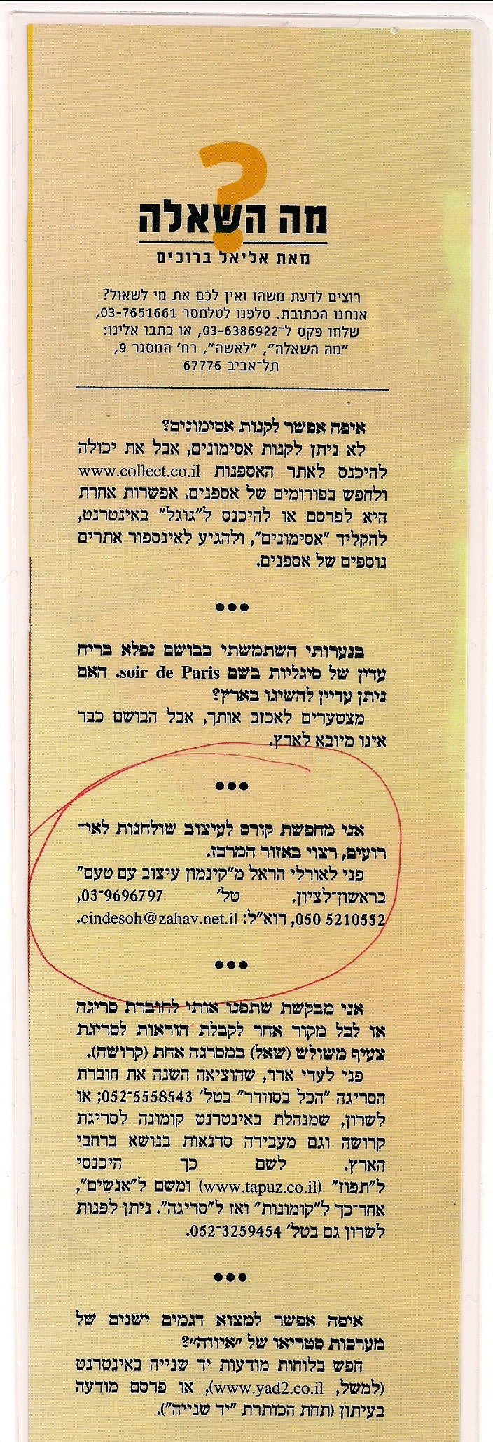 המלצה